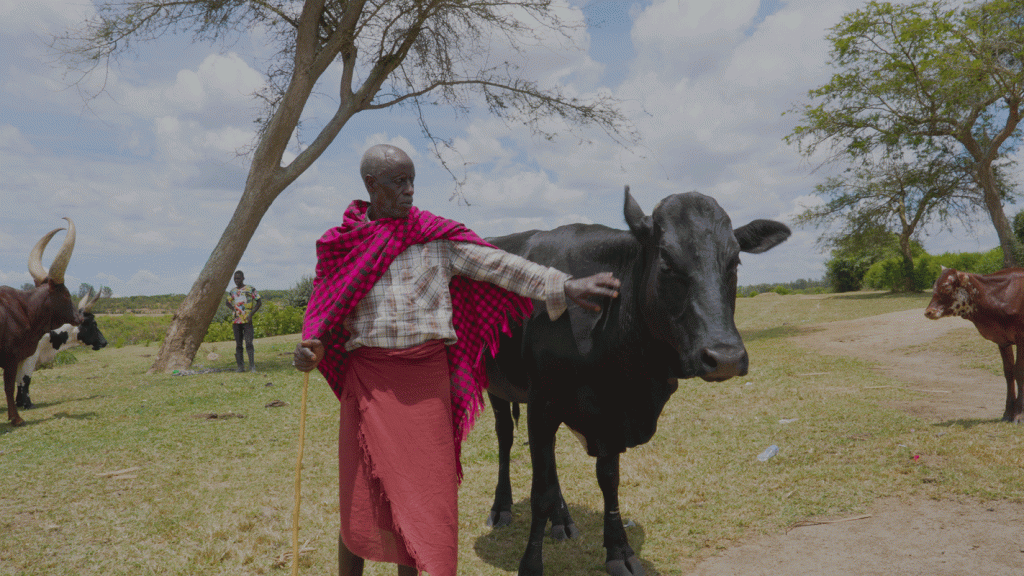 Farmer with cattle